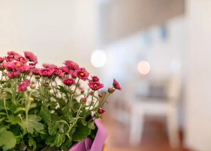 Lägenhet Kleine Im Herzen Templins Templin
